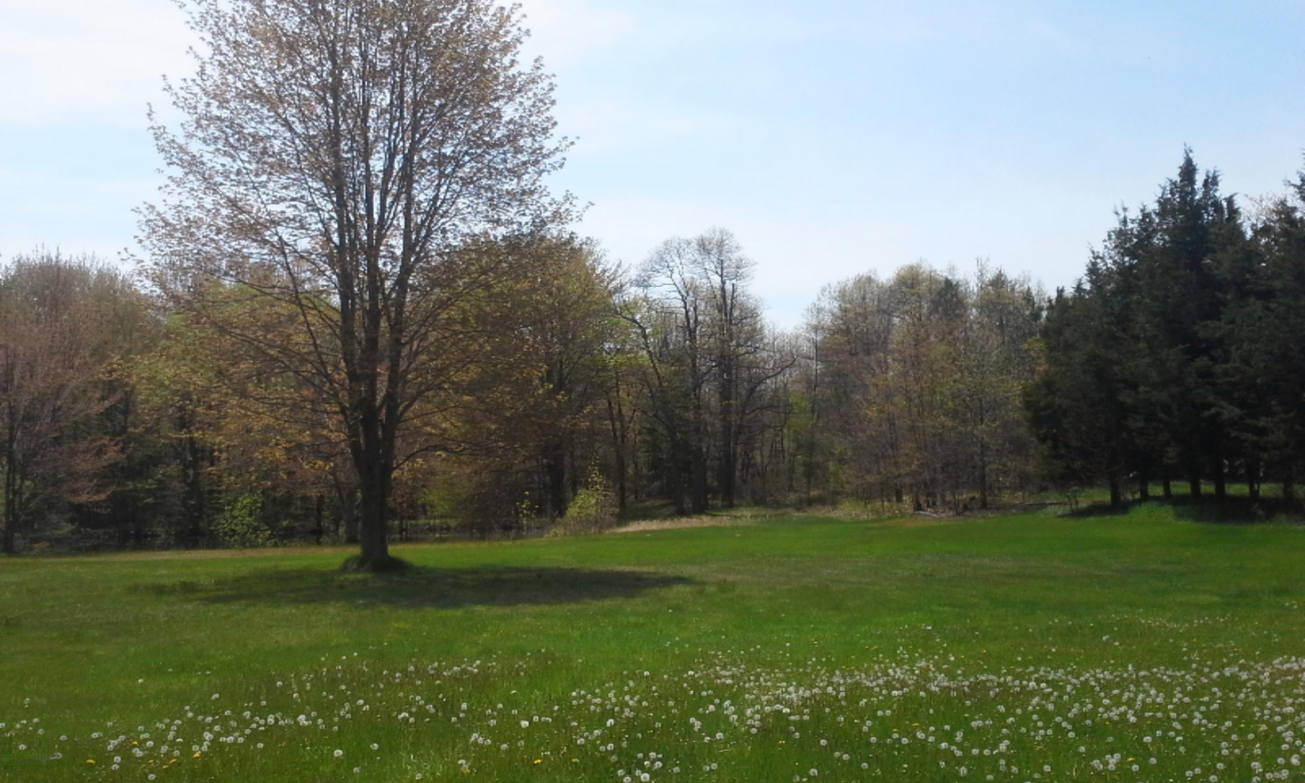 0 East Pontaluna Road Spring Lake, MI 49456 - Photo 3 of 28 20160511_125006