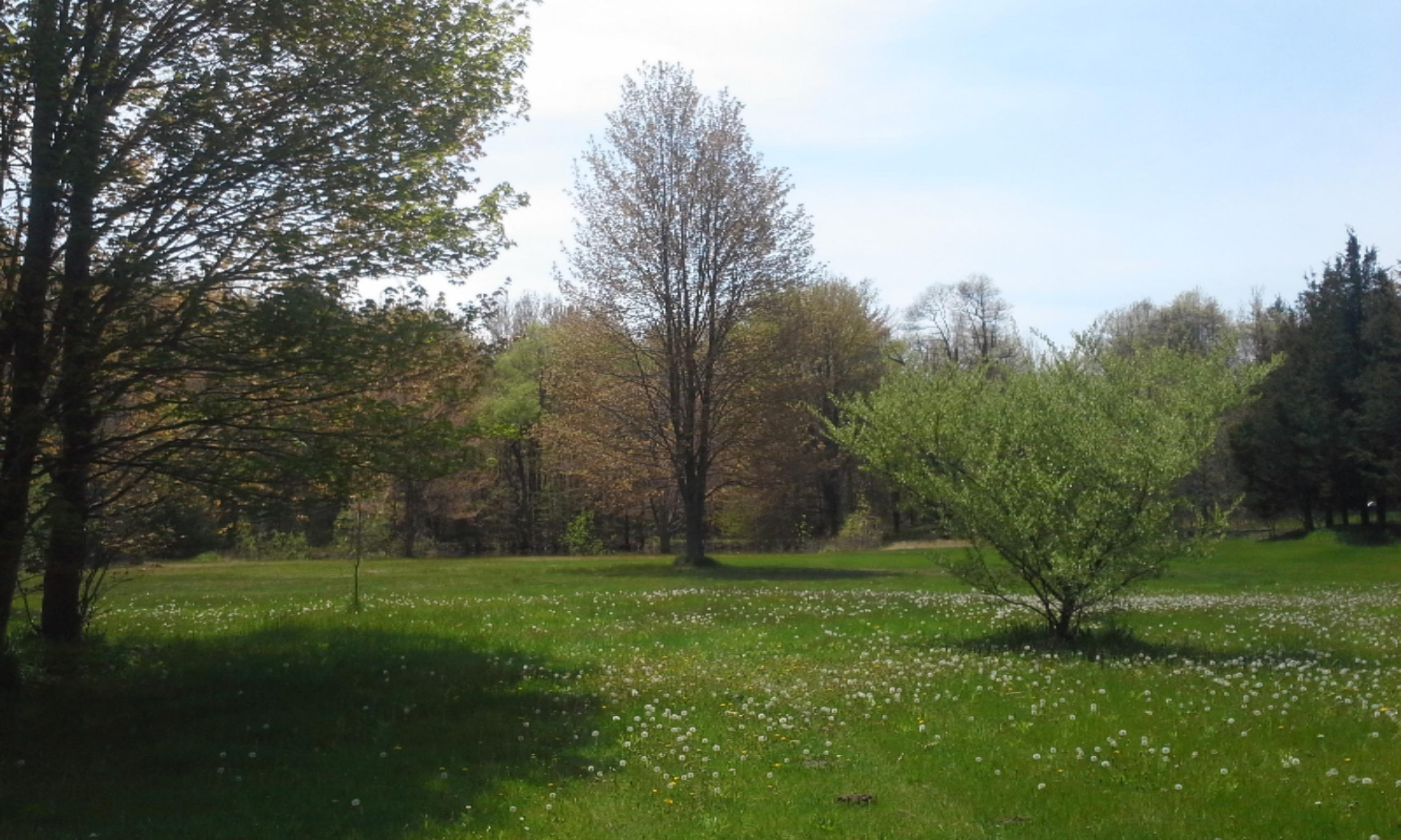 0 East Pontaluna Road Spring Lake, MI 49456 - Photo 4 of 28 20160511_124939