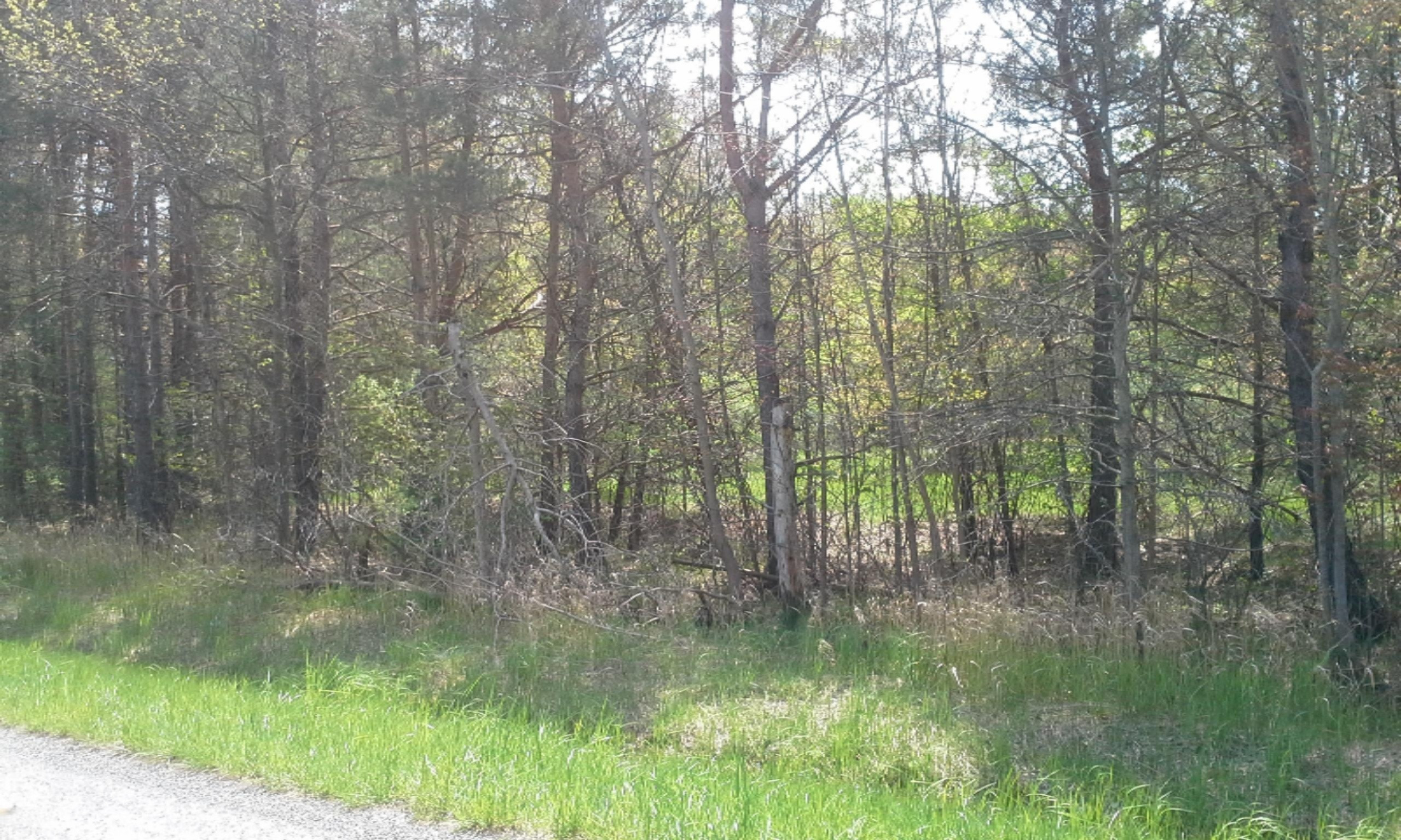 0 East Pontaluna Road Spring Lake, MI 49456 - Photo 8 of 28 20160511_125816