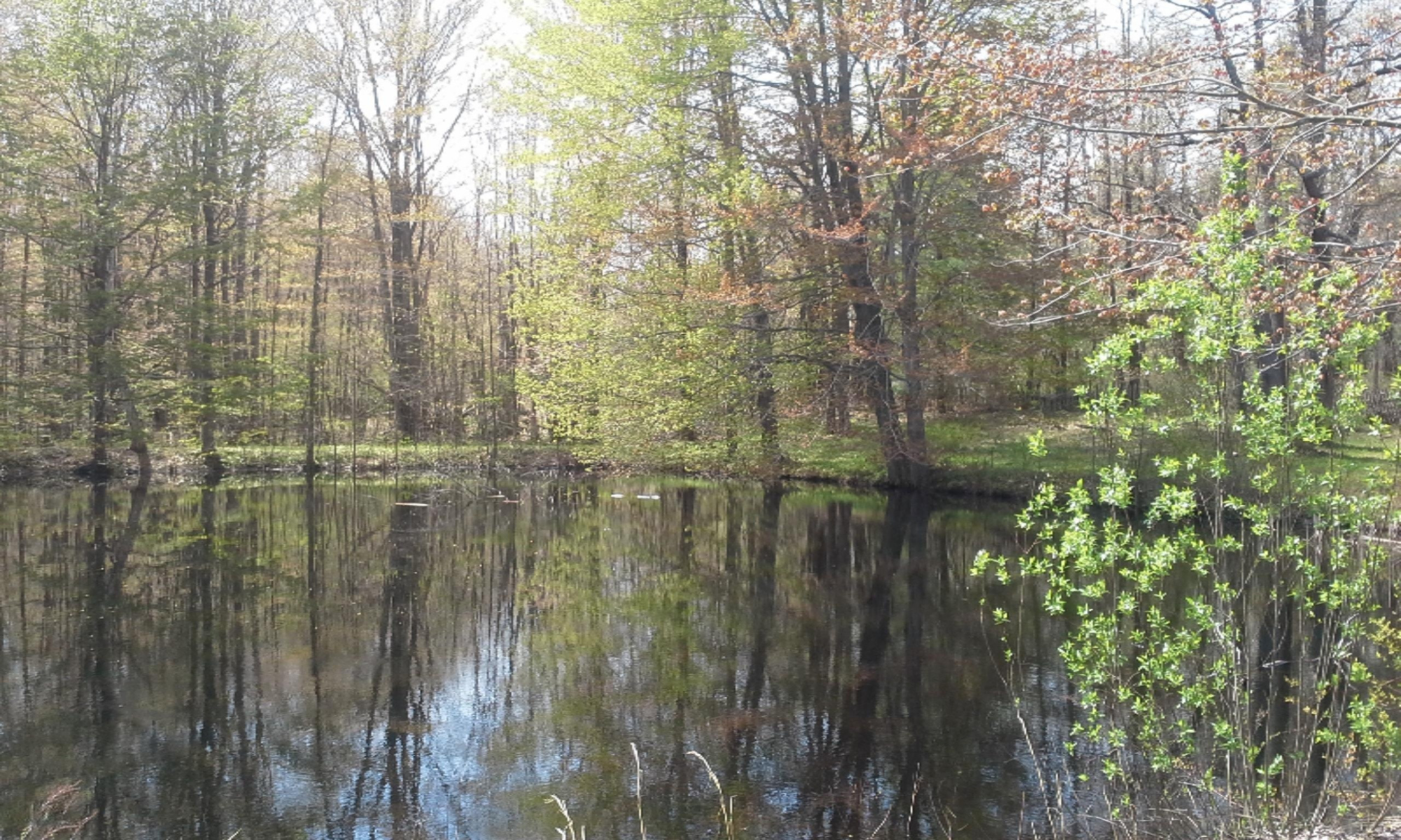 0 East Pontaluna Road Spring Lake, MI 49456 - Photo 9 of 28 20160511_125104