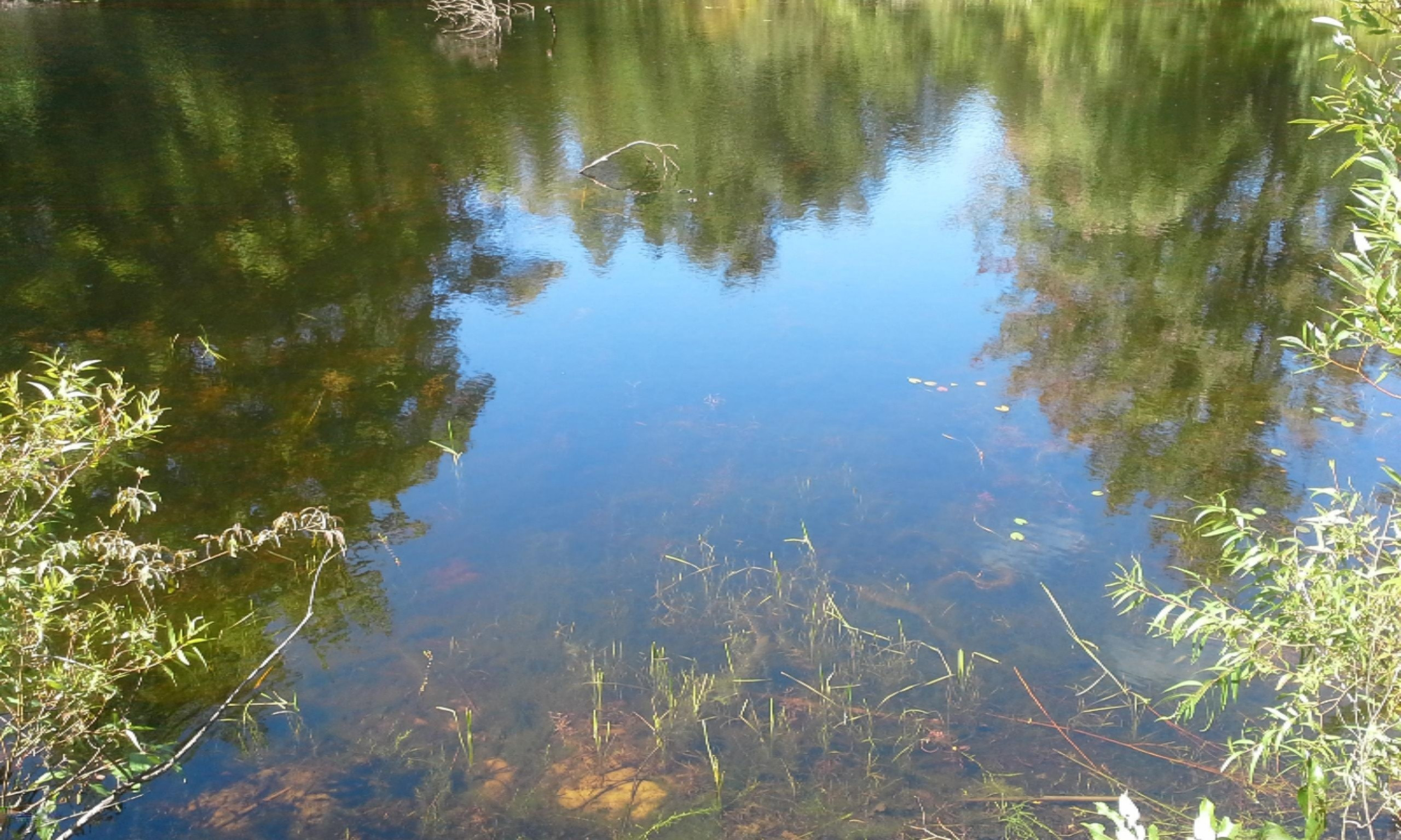 0 East Pontaluna Road Spring Lake, MI 49456 - Photo 10 of 28 0802