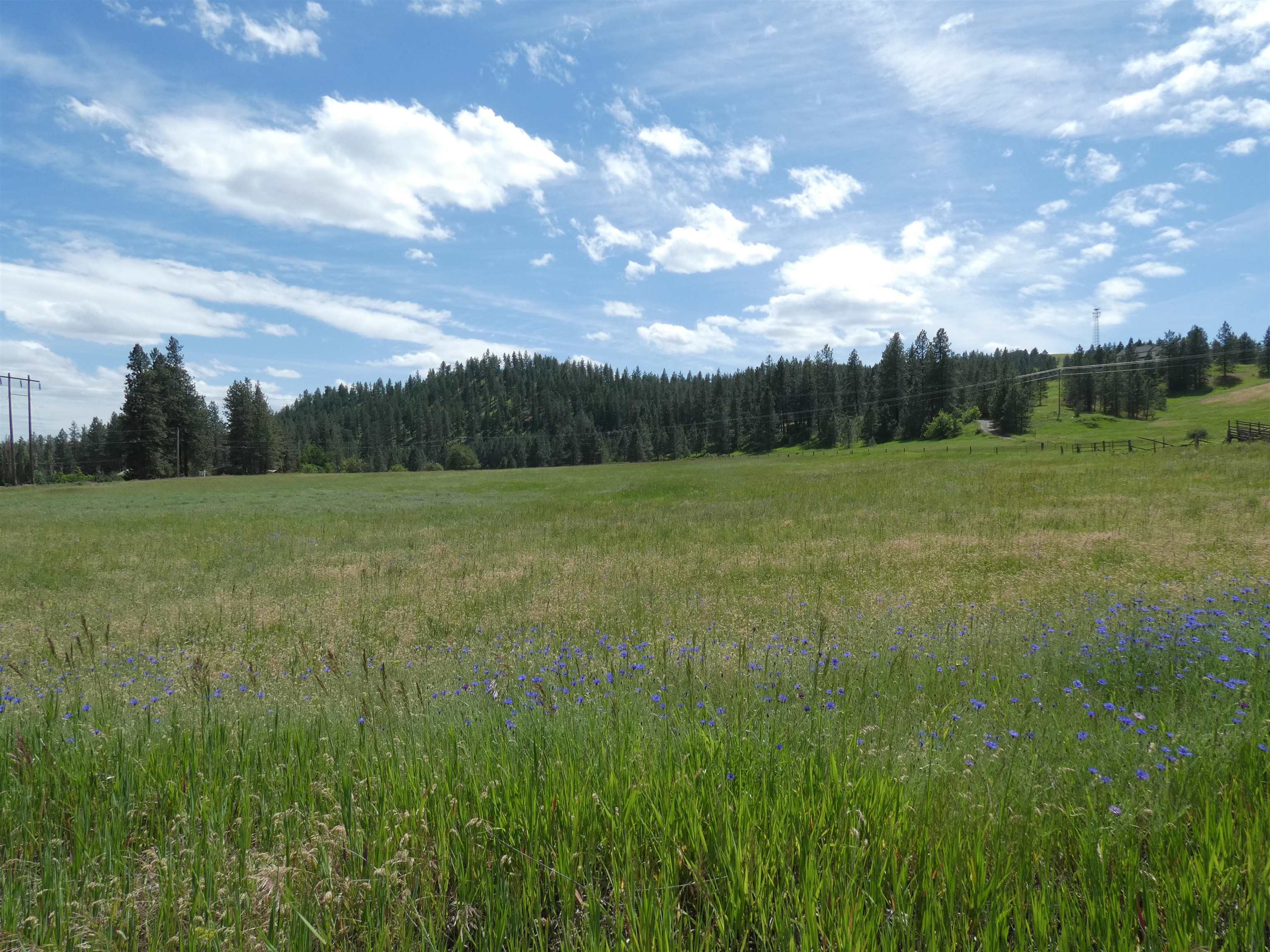 8309 West Jensen Road Cheney, WA 99004 - Photo 9 of 11