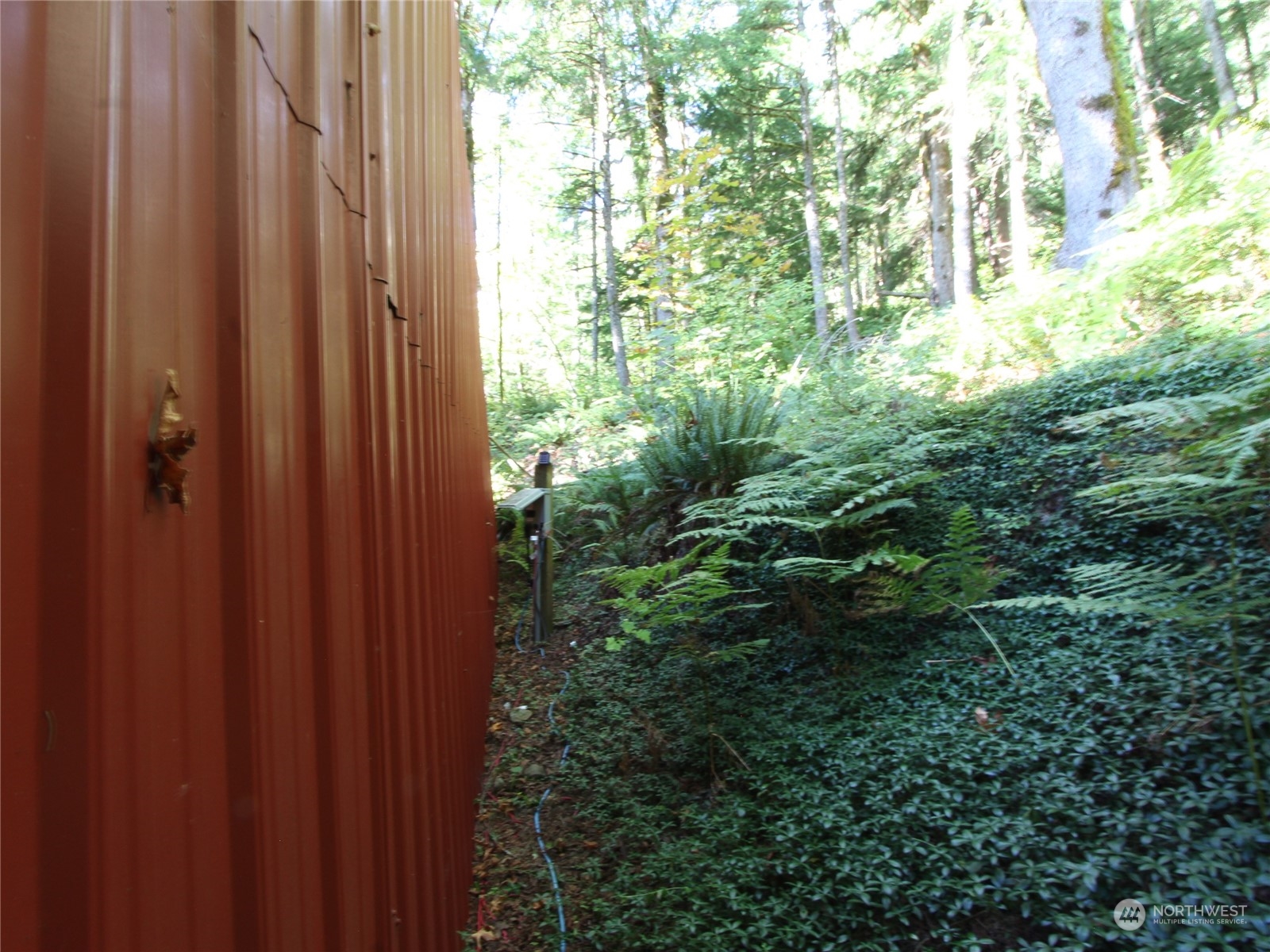 6426 Santa Fe Trail Maple Falls, WA 98266 - Photo 14 of 15 a view of backyard with garden