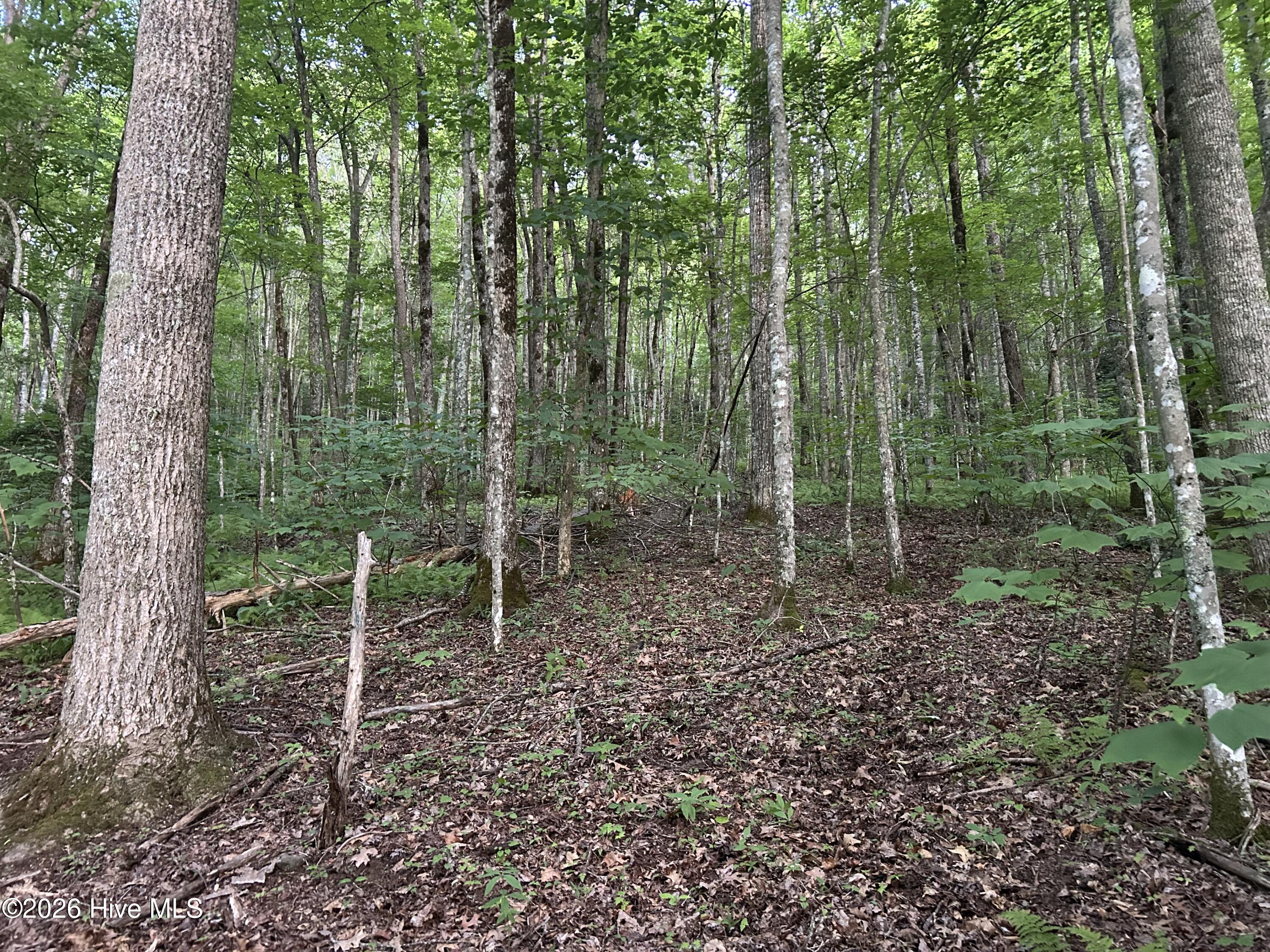 0 Otter Creek Road Topton, NC 28781 - Photo 18 of 20