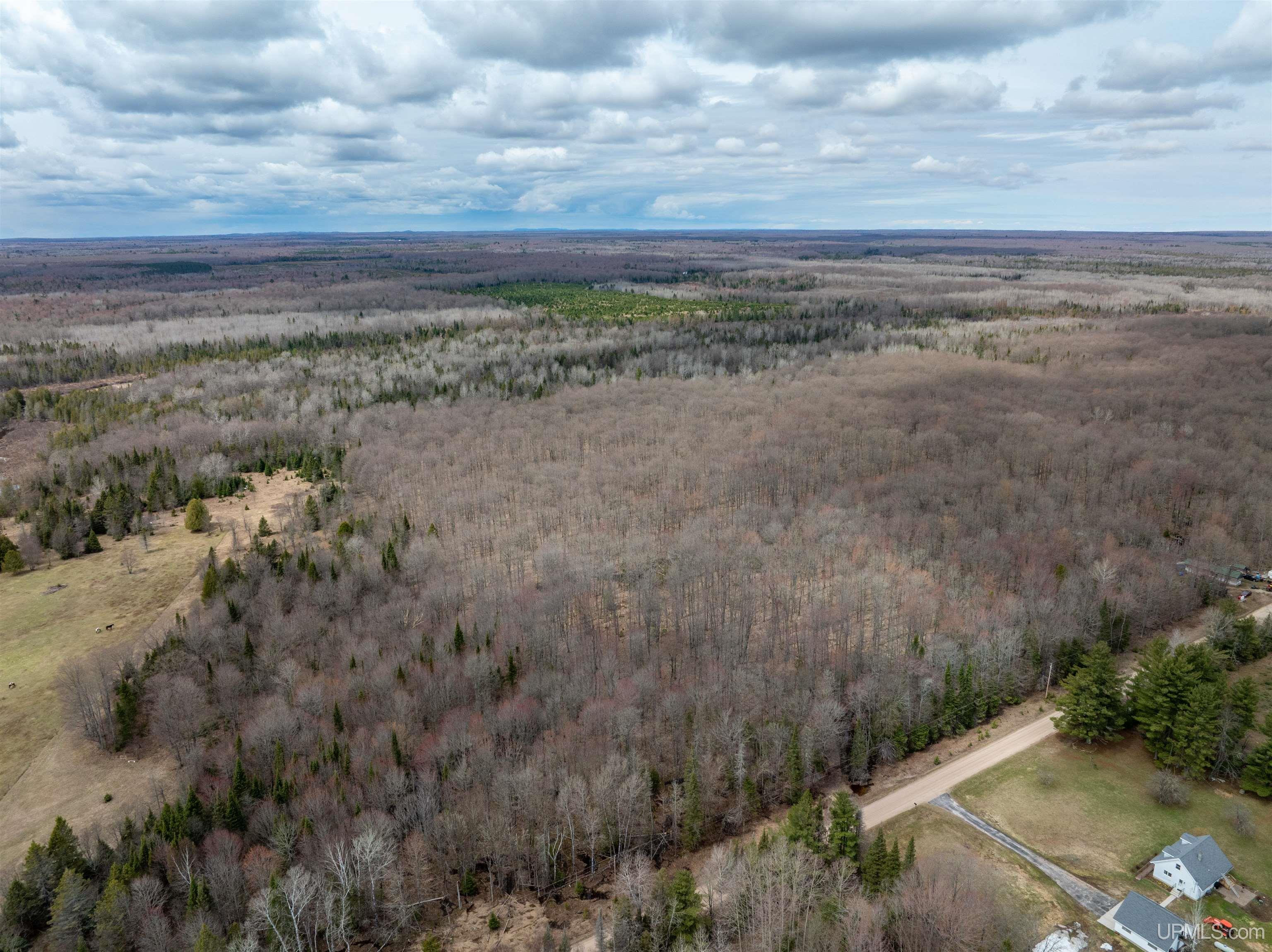 Tbd Coaster Road Trenary, MI 49891 - Photo 12 of 14