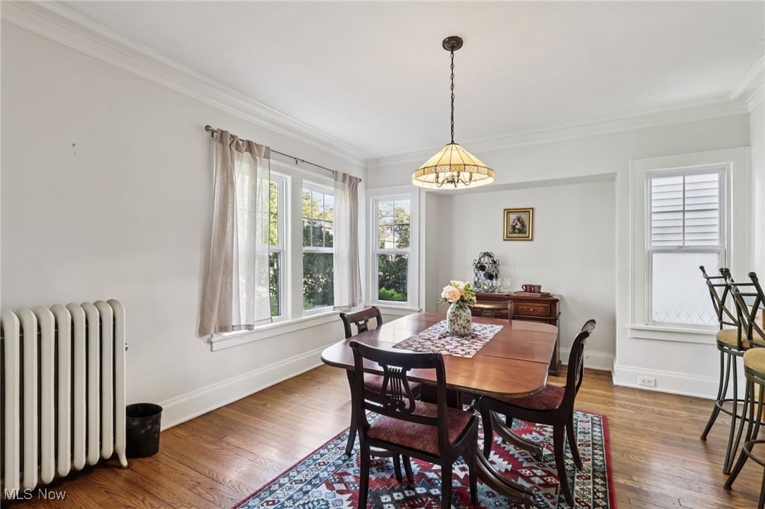 3054 East Overlook Road Cleveland, OH 44118 - Photo 6 of 50 Dining space featuring radiator, crown molding, and wood finished floors