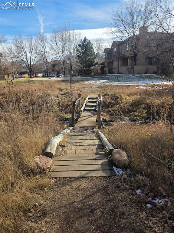3271 Apogee View Colorado Springs, CO 80906 - Photo 37 of 37 a view of a yard with large trees