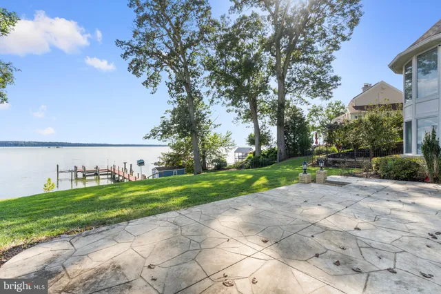 a view of a park with large trees
