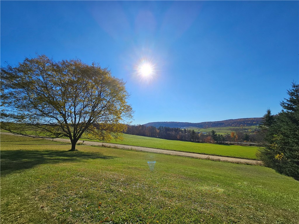 2201 Smith Road Jasper, NY 14855 - Photo 14 of 42