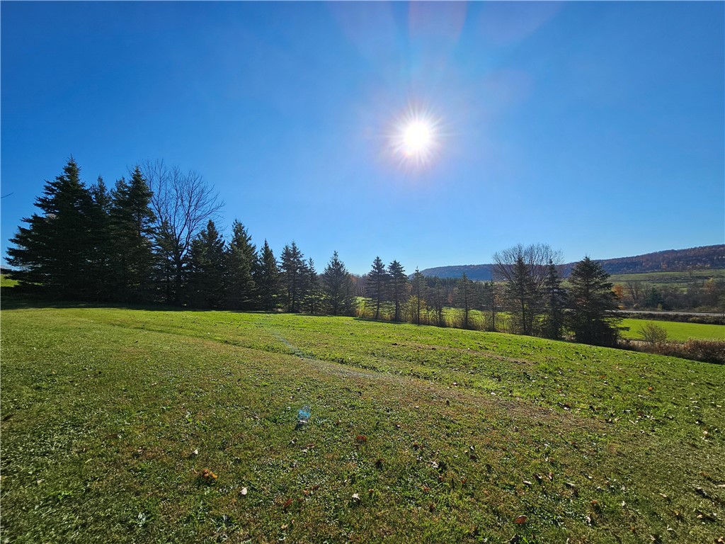 2201 Smith Road Jasper, NY 14855 - Photo 15 of 42