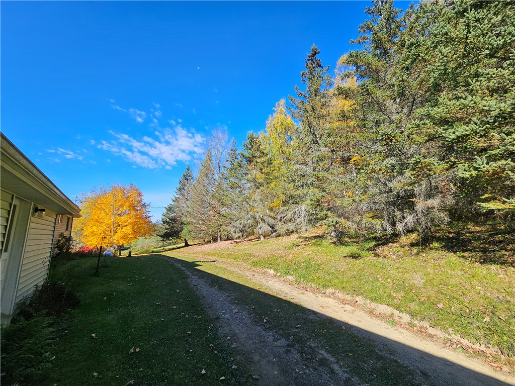 2201 Smith Road Jasper, NY 14855 - Photo 7 of 42