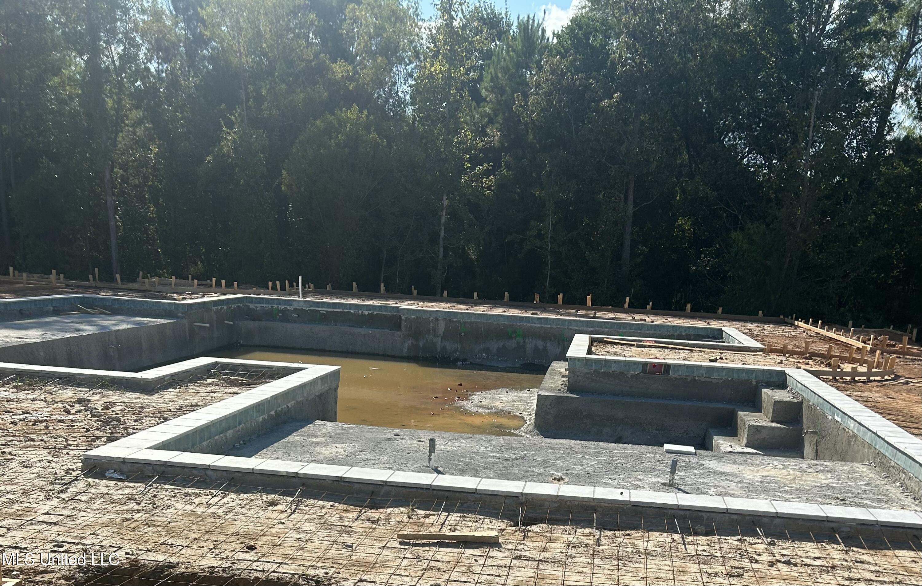 232 Bronson Bend Flowood, MS 39232 - Photo 21 of 22 IMG_3869