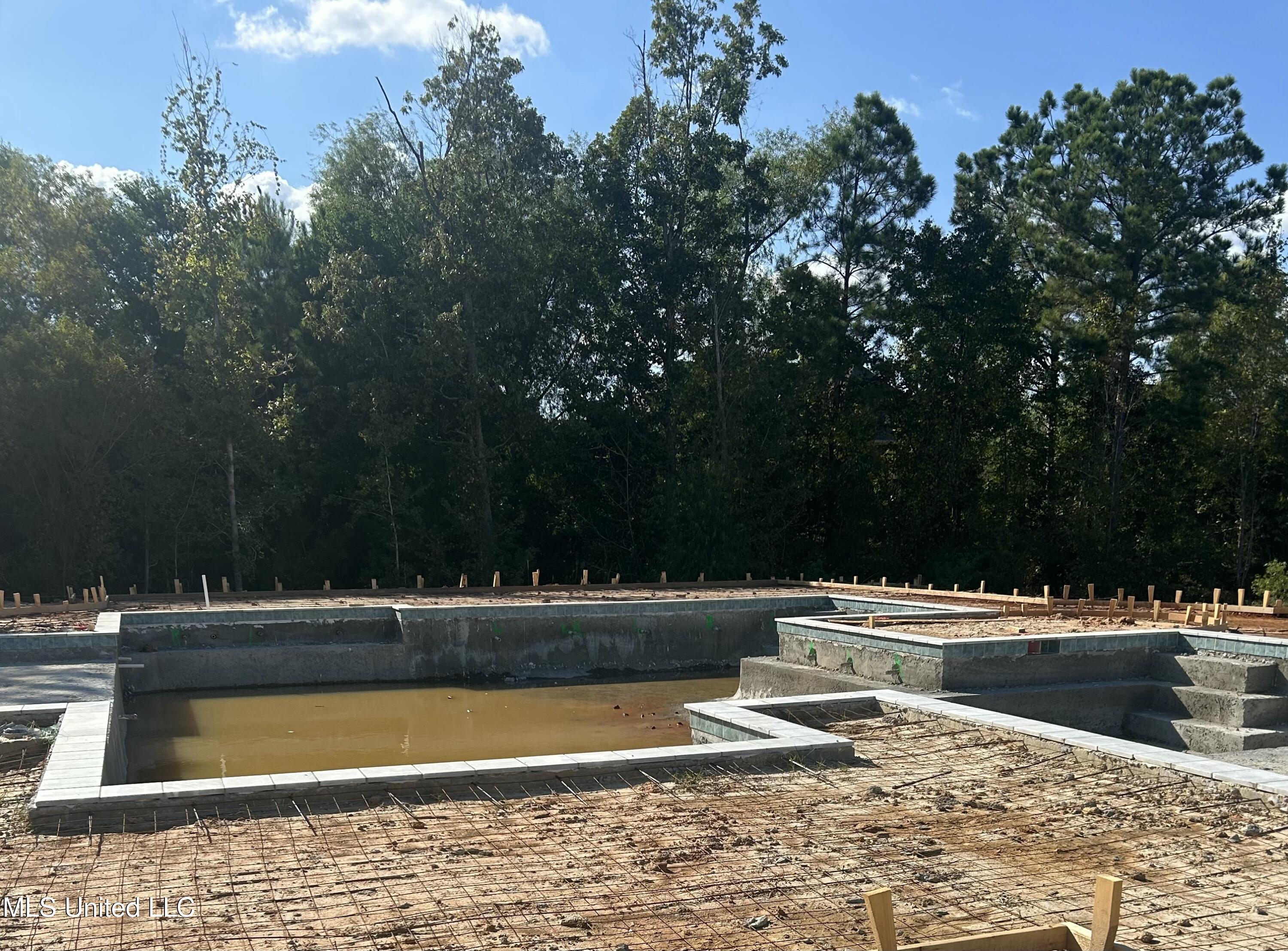 232 Bronson Bend Flowood, MS 39232 - Photo 22 of 22 IMG_3866