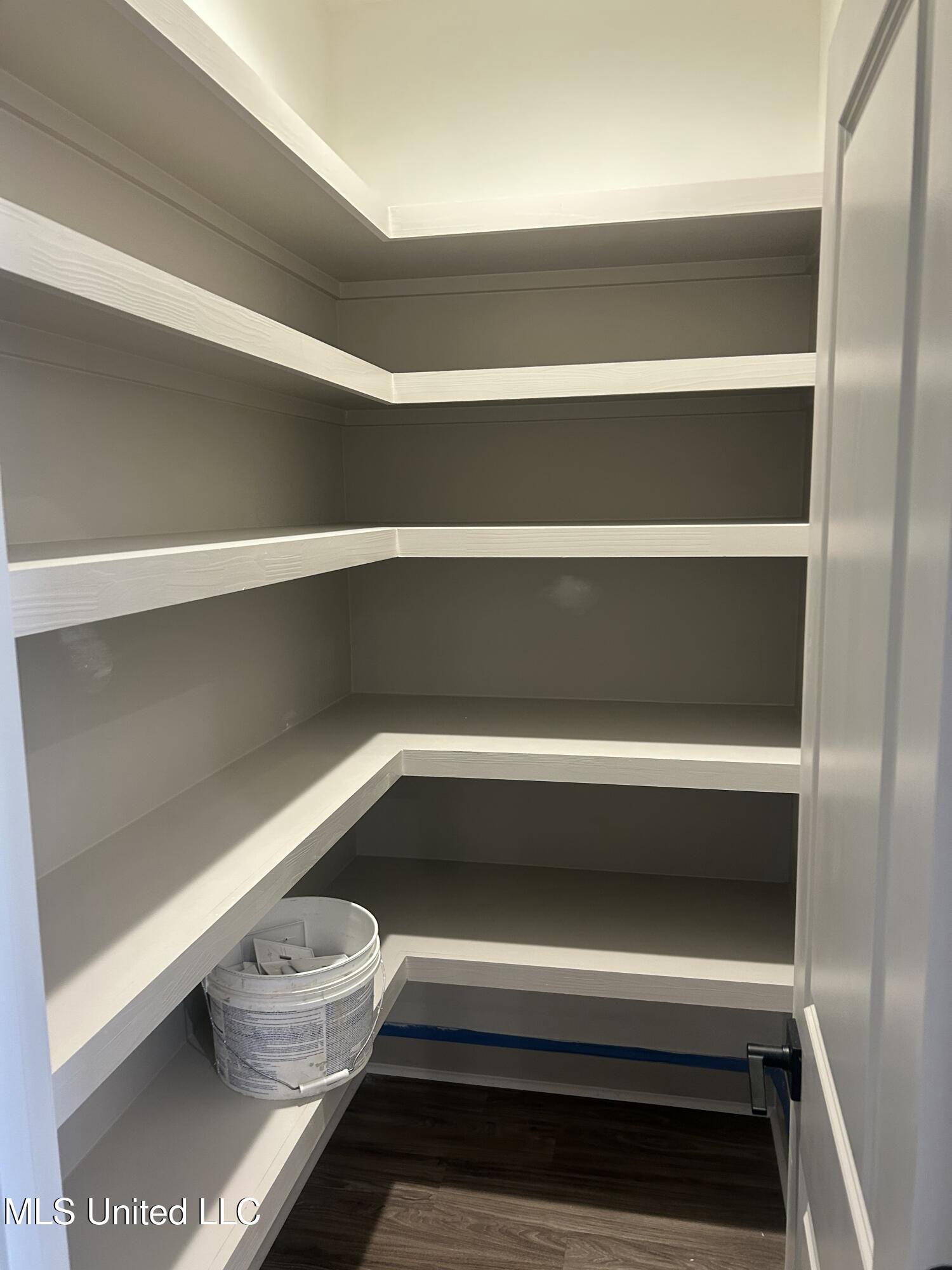 232 Bronson Bend Flowood, MS 39232 - Photo 8 of 22 Pantry