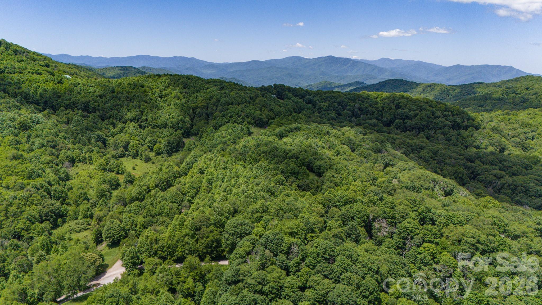 2 Turkey Trot Road Clyde, NC 28721 - Photo 9 of 48