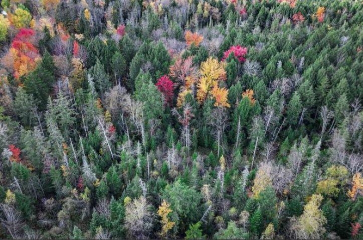 1021 Woods Road Warren, VT 05674 - Photo 15 of 24