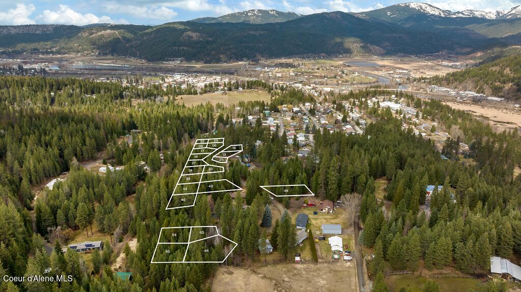 Nna Ragan Drive St. Maries, ID 83861 - Photo 5 of 9 PROPLINES_R1A