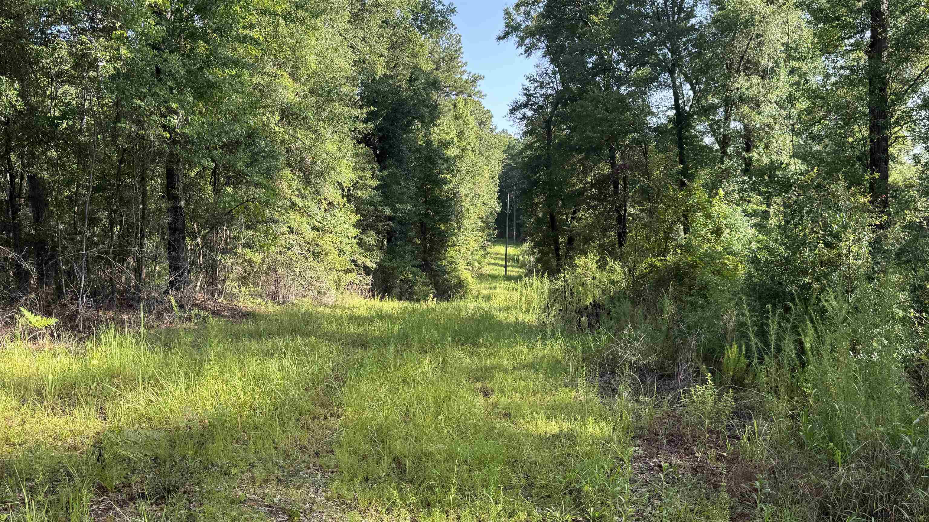 1050 Cedar Creek Landing Road Mount Vernon, AL 36560 - Photo 49 of 59 View
