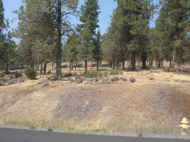 0 Cooper's Hawk Road Klamath Falls, OR 97601 - Photo 1 of 1 Primary Photo