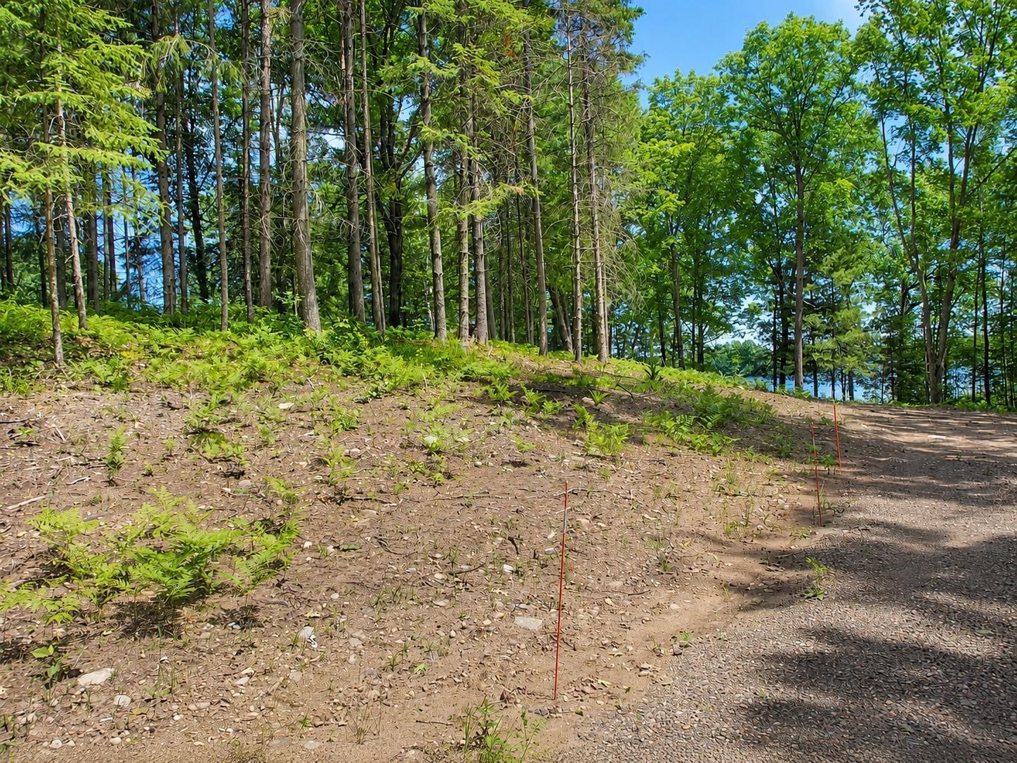 0 Ranch Road Stone Lake, WI 54876 - Photo 7 of 21