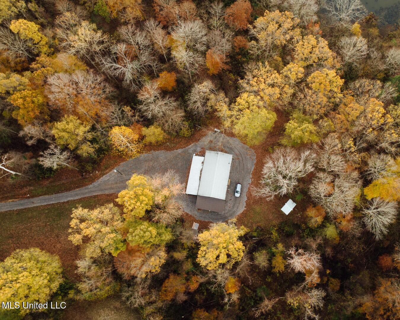 2732 Myrleville Road Yazoo City, MS 39194 - Photo 14 of 49 14 (Large)