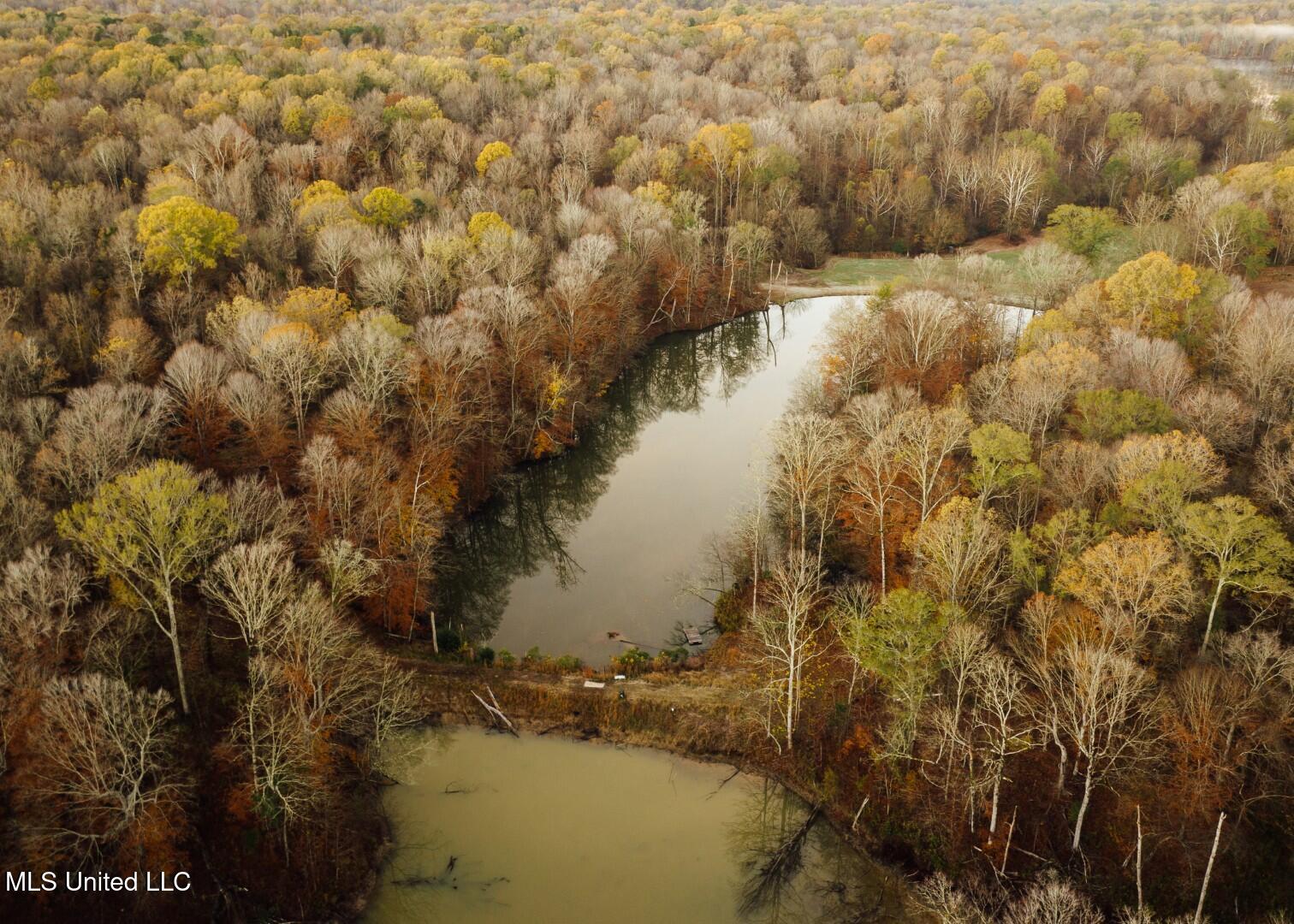 2732 Myrleville Road Yazoo City, MS 39194 - Photo 18 of 49 15 (Large)