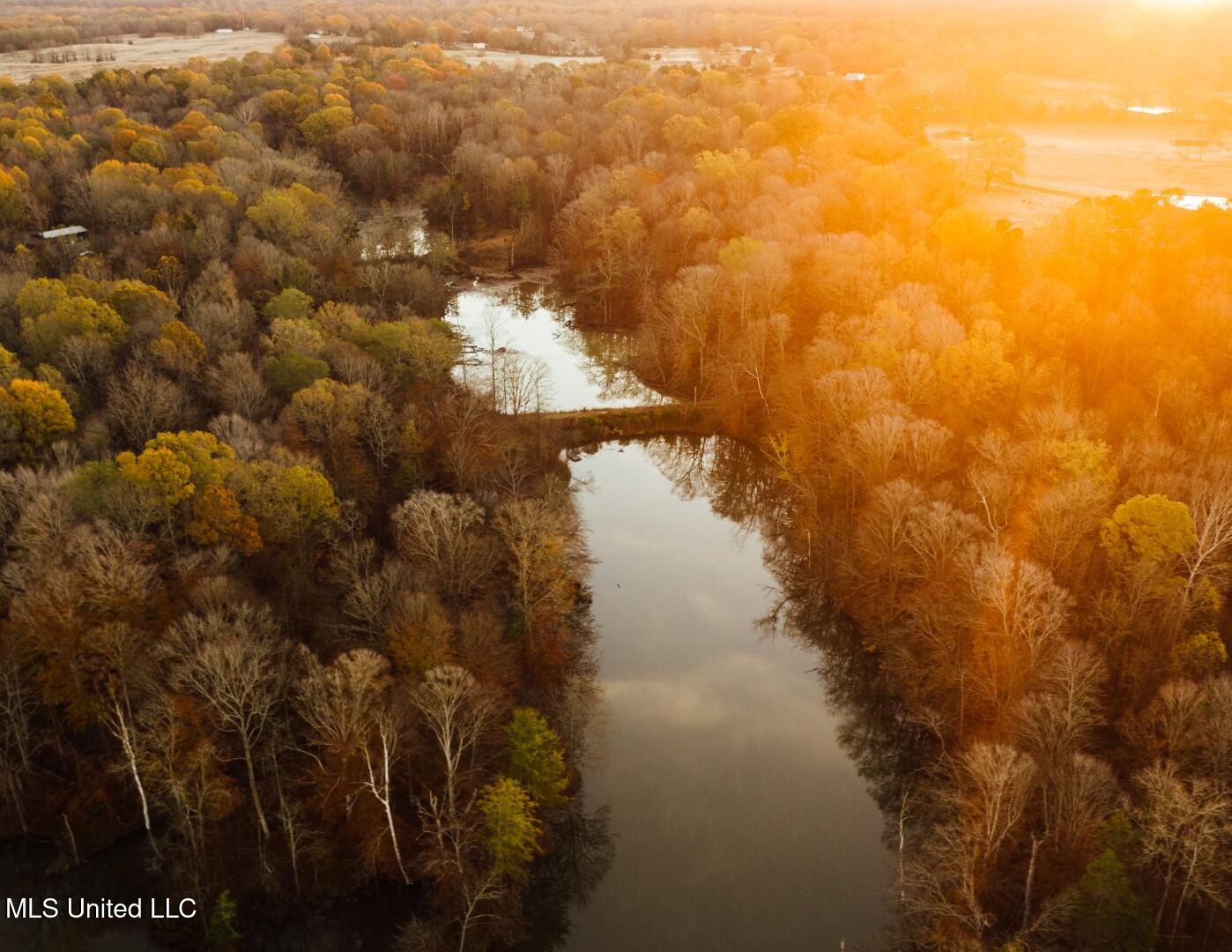 2732 Myrleville Road Yazoo City, MS 39194 - Photo 19 of 49 16 (Large)