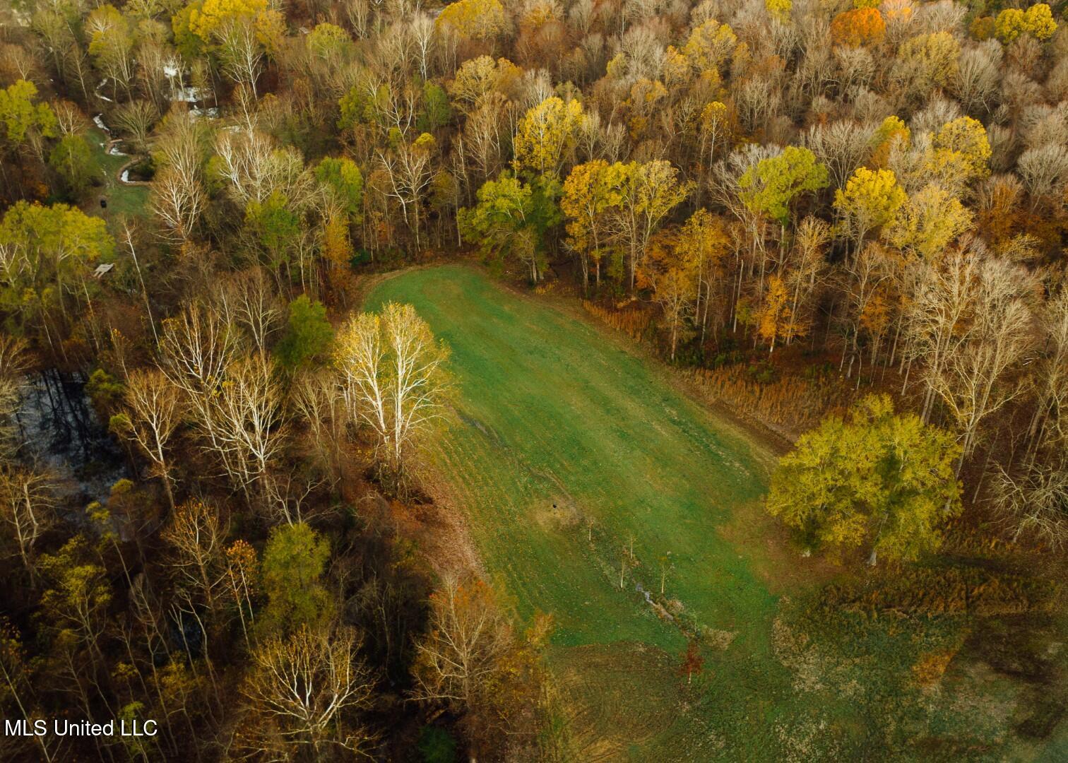 2732 Myrleville Road Yazoo City, MS 39194 - Photo 21 of 49 18 (Large)