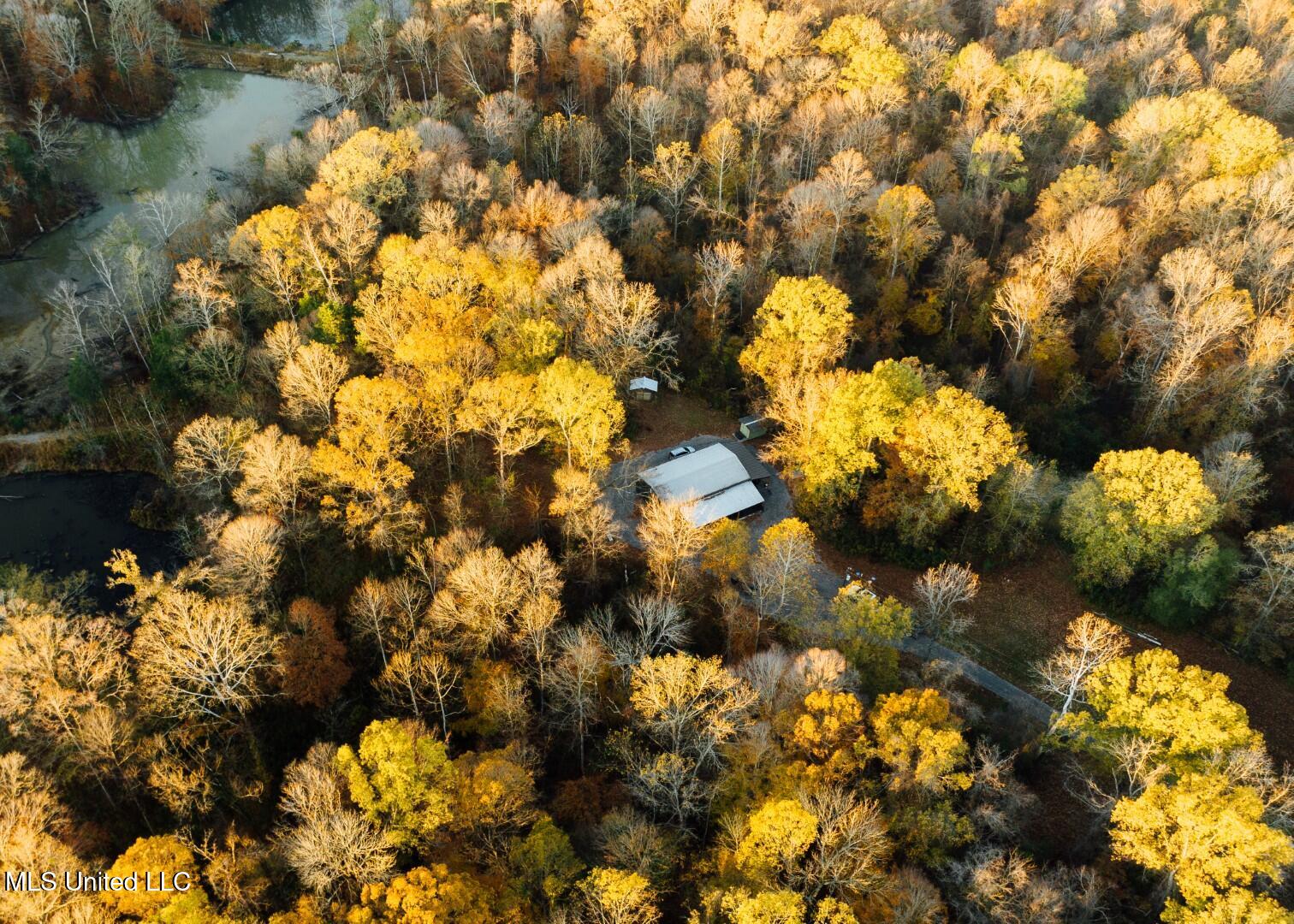 2732 Myrleville Road Yazoo City, MS 39194 - Photo 23 of 49 20 (Large)