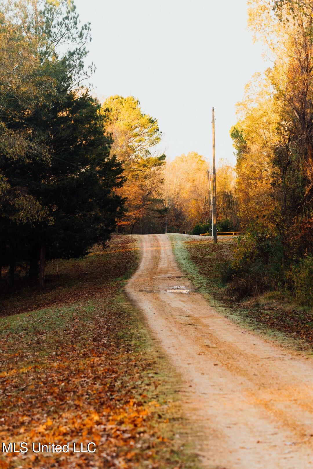 2732 Myrleville Road Yazoo City, MS 39194 - Photo 26 of 49 24 (Large)