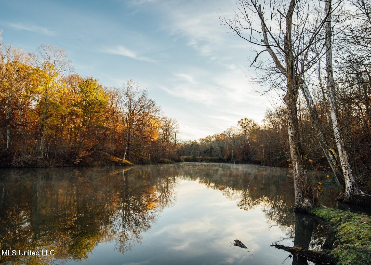 2732 Myrleville Road Yazoo City, MS 39194 - Photo 27 of 49 25 (Large)
