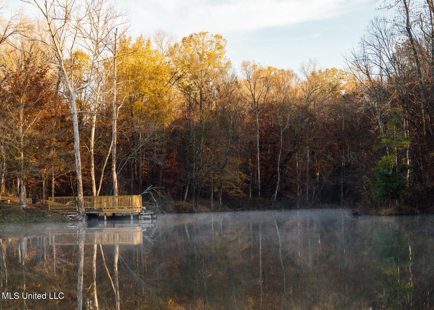 2732 Myrleville Road Yazoo City, MS 39194 - Photo 28 of 49 26 (Large)