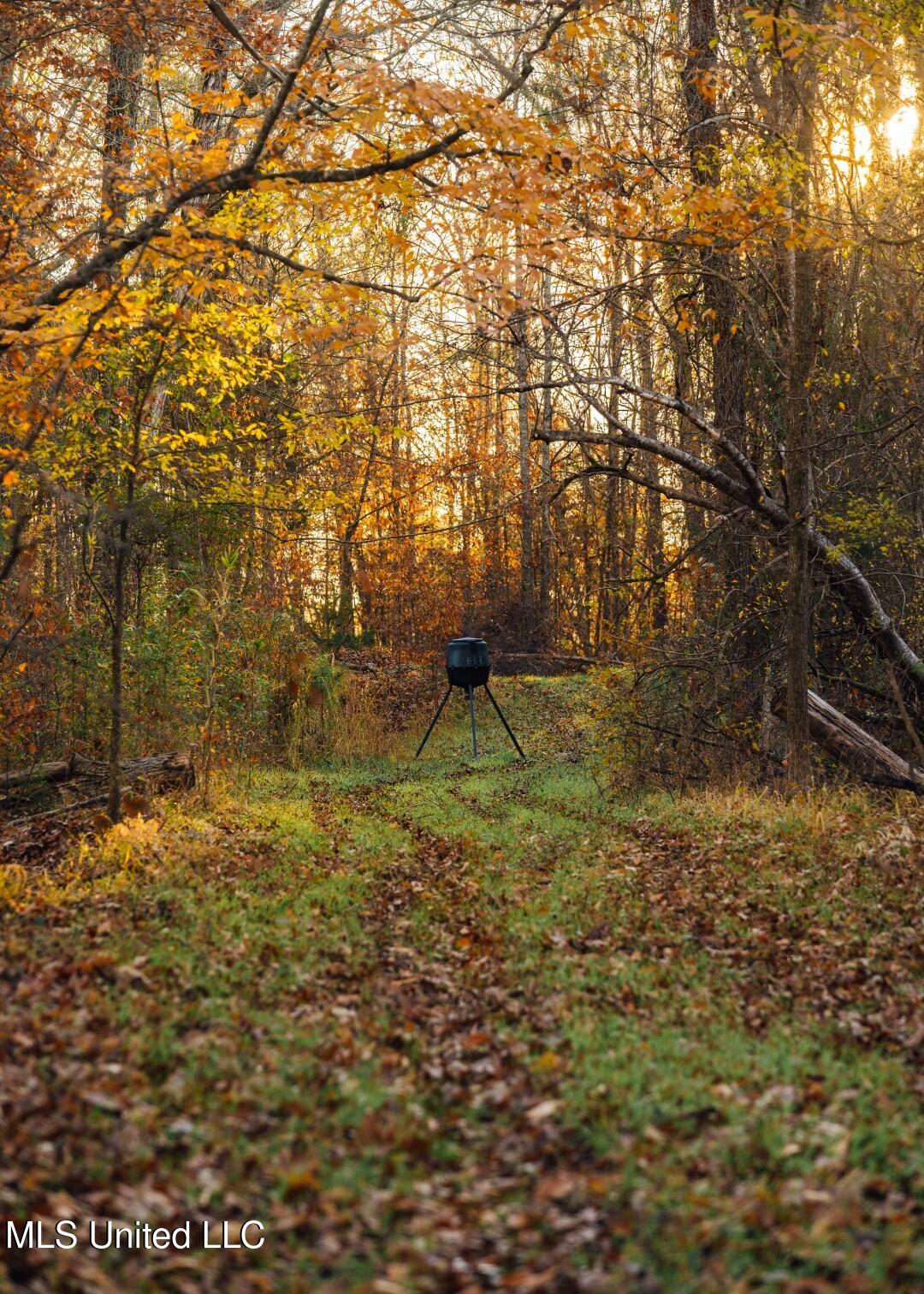 2732 Myrleville Road Yazoo City, MS 39194 - Photo 29 of 49 27 (Large)