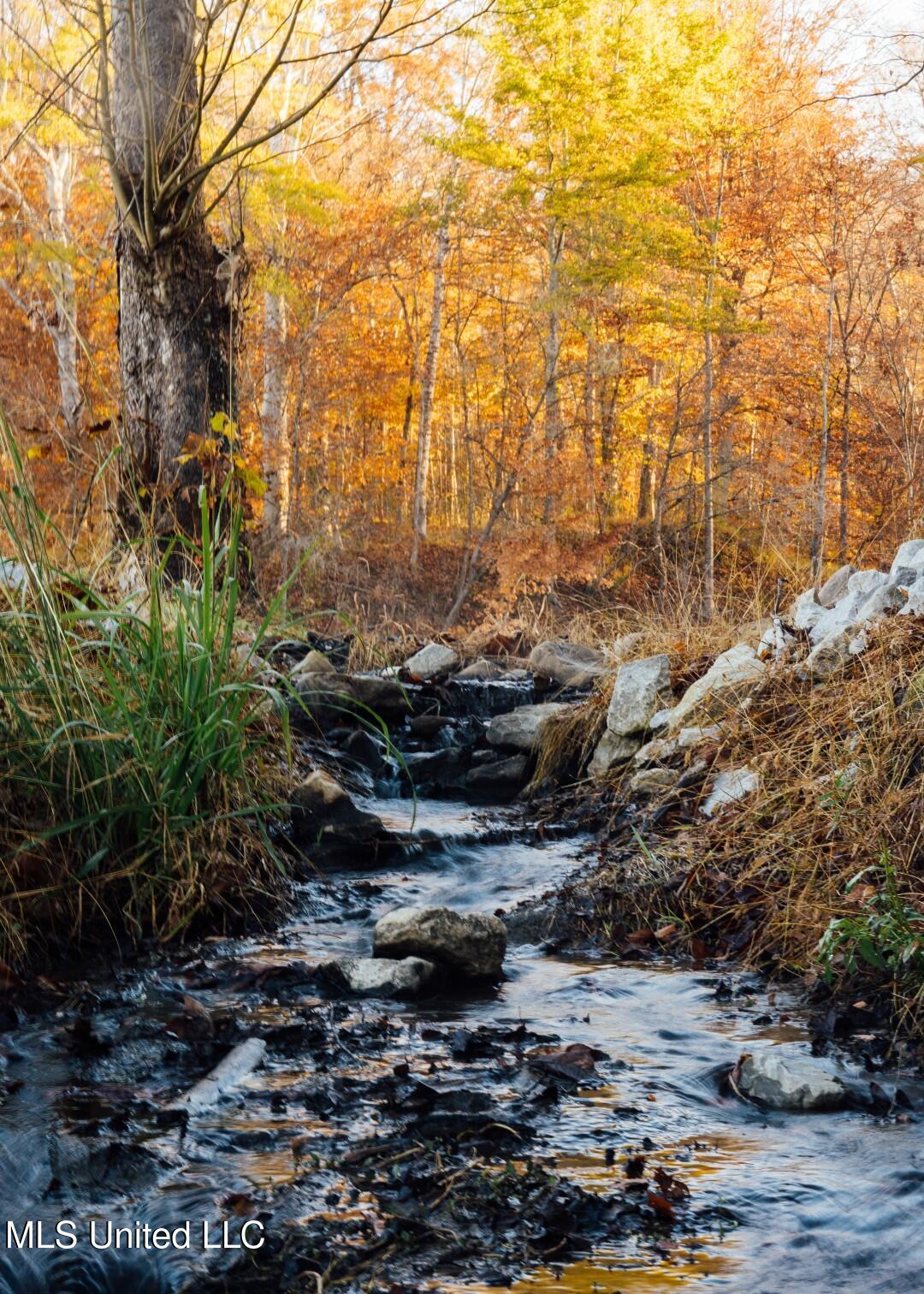 2732 Myrleville Road Yazoo City, MS 39194 - Photo 30 of 49 28 (Large)