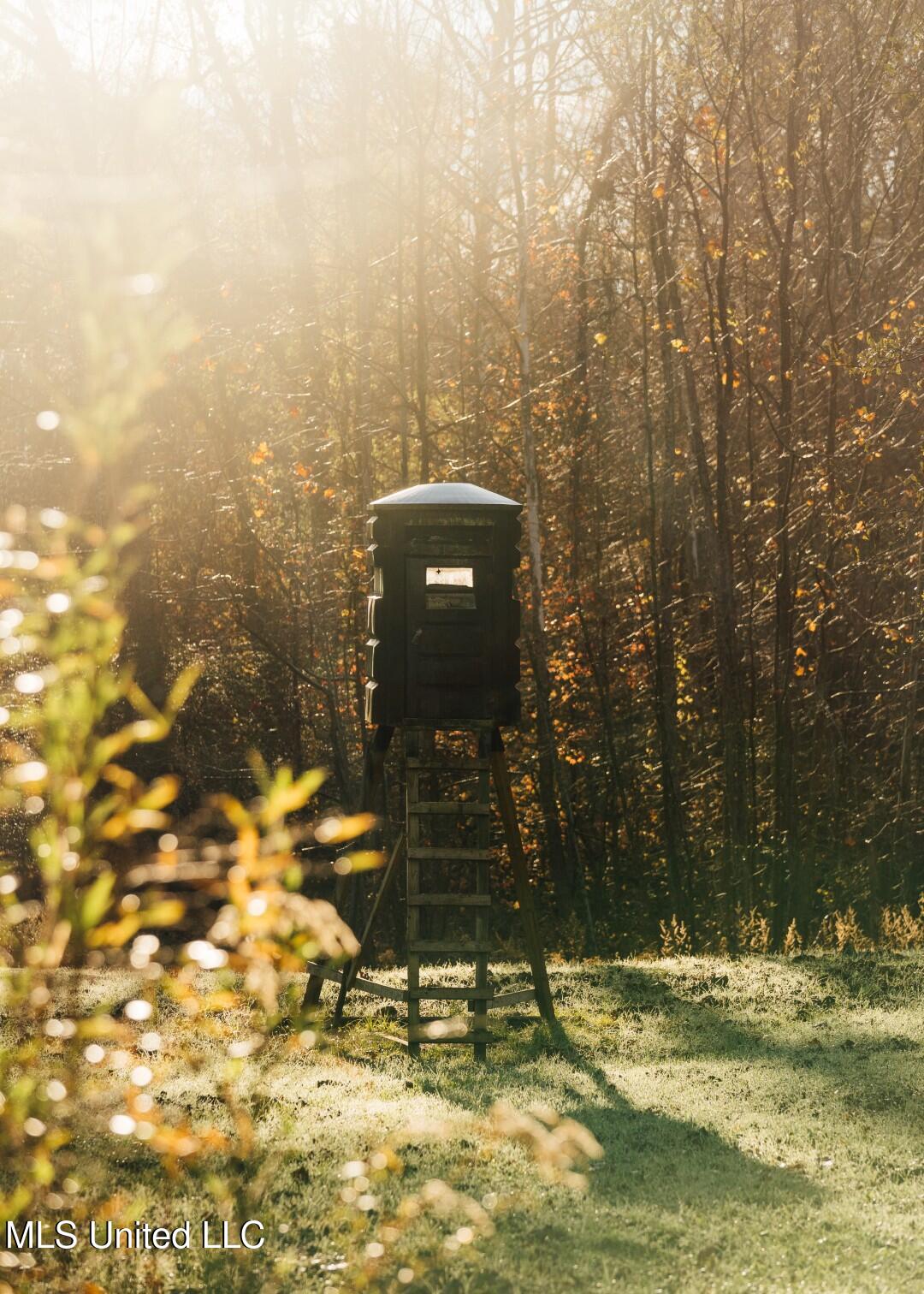 2732 Myrleville Road Yazoo City, MS 39194 - Photo 34 of 49 32 (Large)