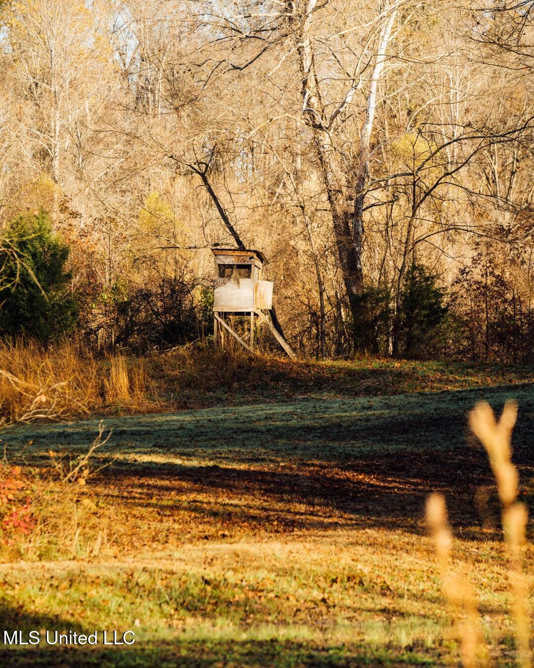 2732 Myrleville Road Yazoo City, MS 39194 - Photo 35 of 49 33 (Large)