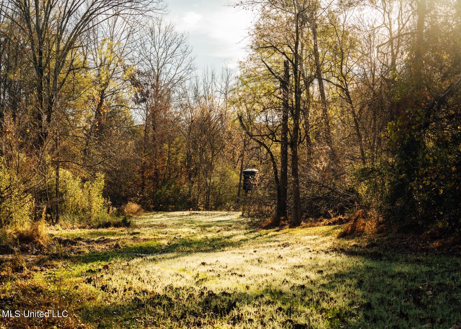 2732 Myrleville Road Yazoo City, MS 39194 - Photo 36 of 49 34 (Large)