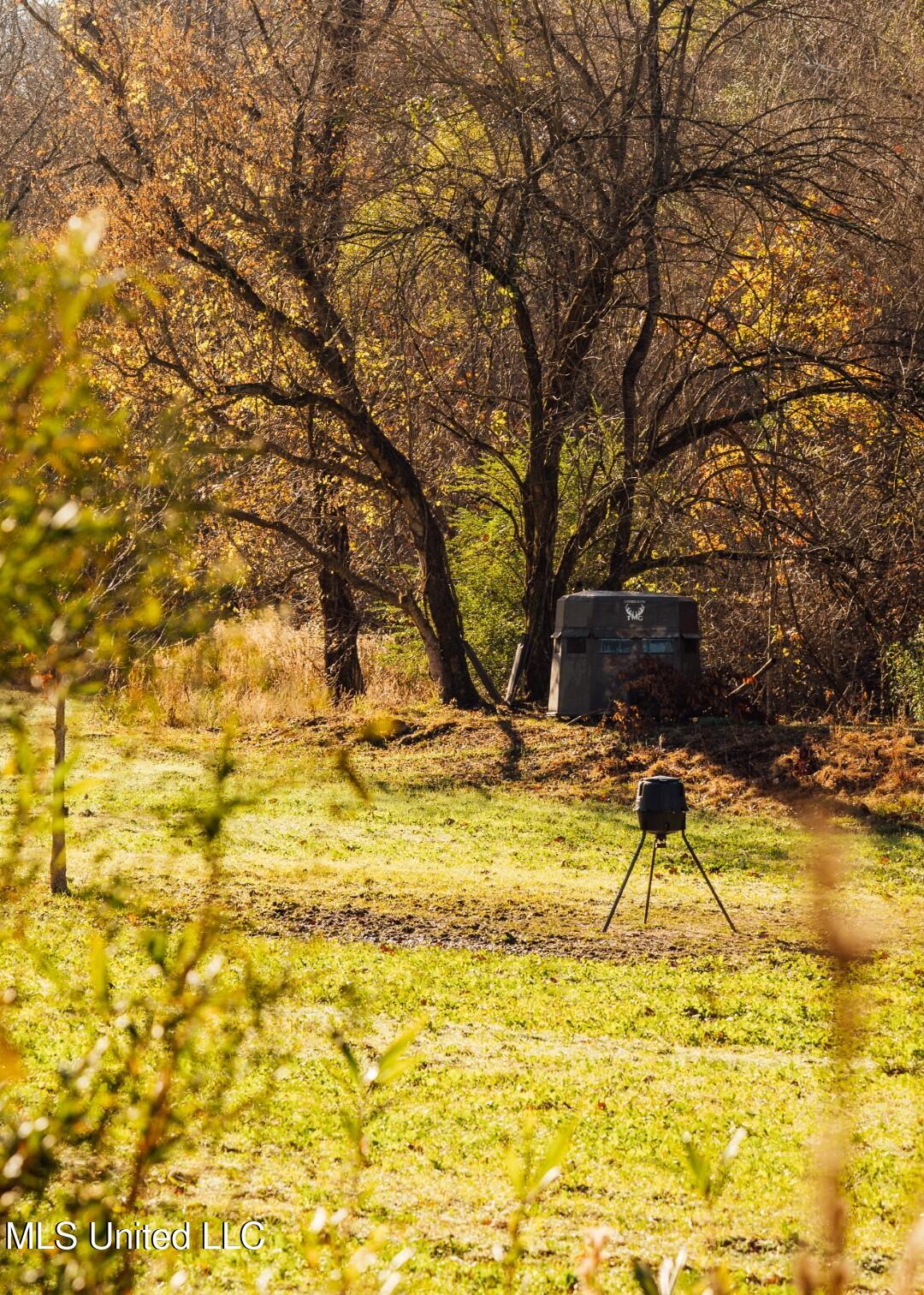 2732 Myrleville Road Yazoo City, MS 39194 - Photo 37 of 49 35 (Large)