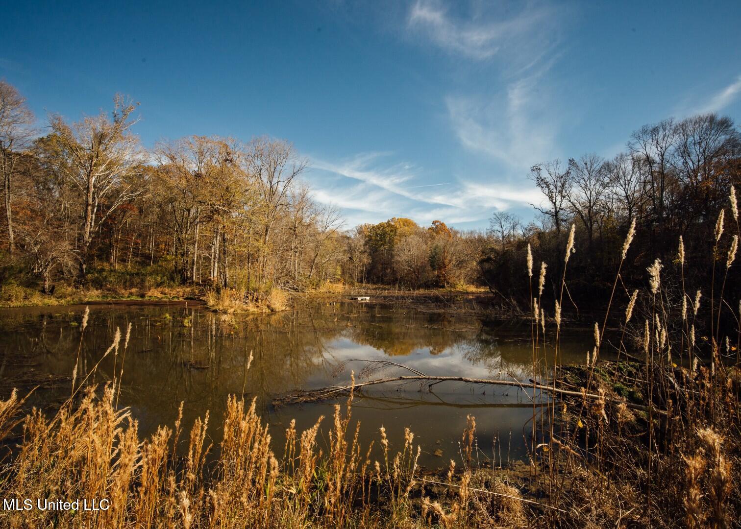 2732 Myrleville Road Yazoo City, MS 39194 - Photo 39 of 49 37 (Large)