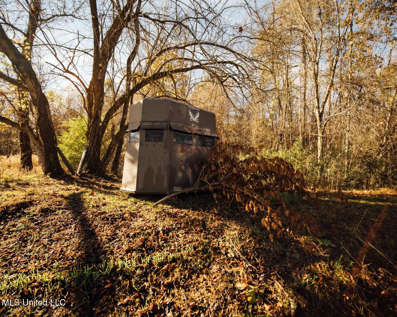 2732 Myrleville Road Yazoo City, MS 39194 - Photo 41 of 49 39 (Large)