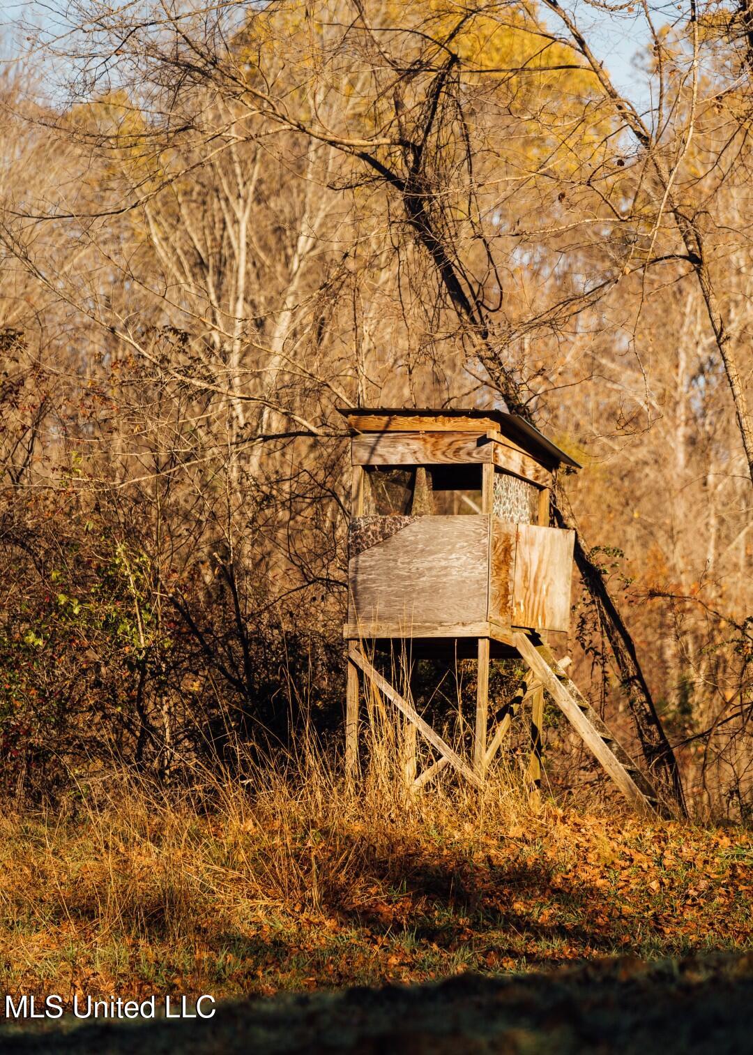 2732 Myrleville Road Yazoo City, MS 39194 - Photo 42 of 49 40 (Large)