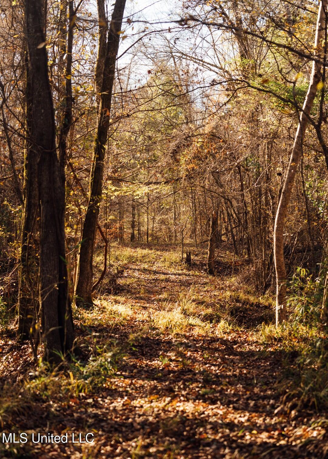 2732 Myrleville Road Yazoo City, MS 39194 - Photo 48 of 49 45 (Large)