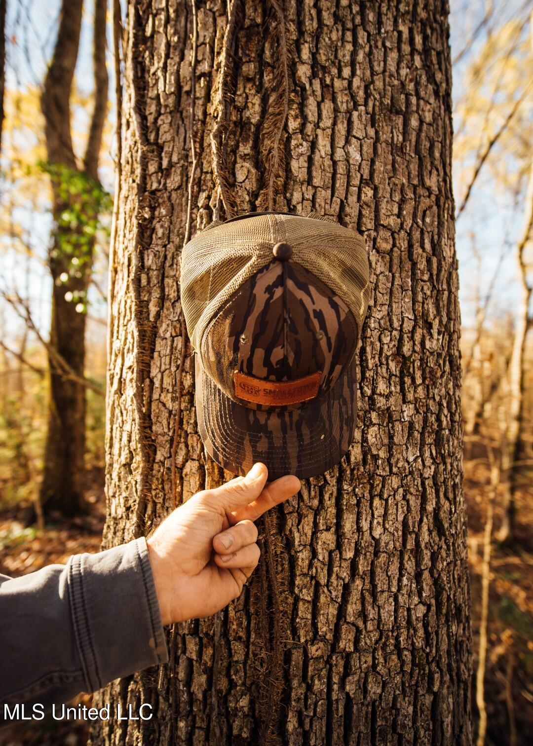 2732 Myrleville Road Yazoo City, MS 39194 - Photo 49 of 49 46 (Large)