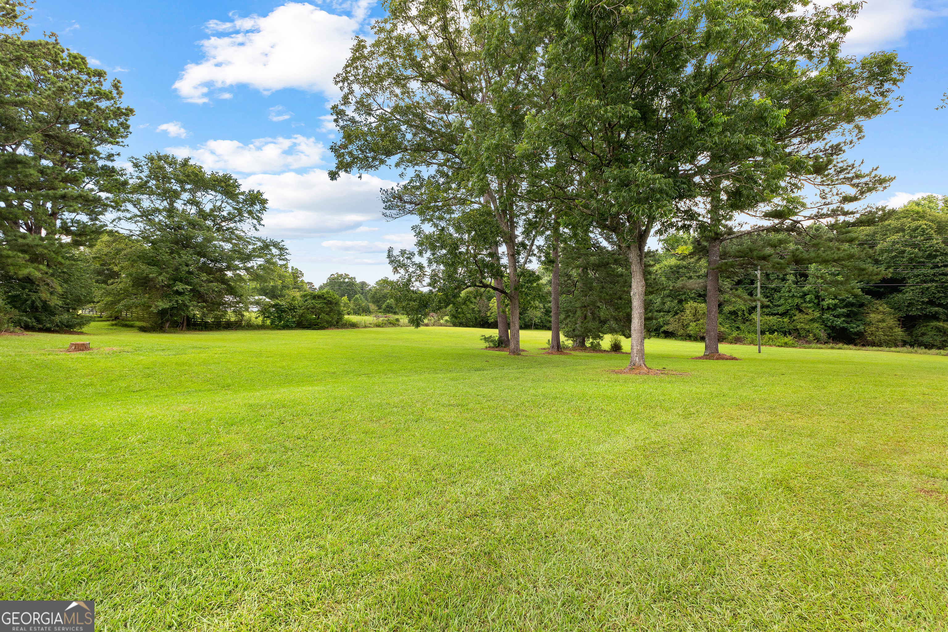 1367 Sharpsburg McCollum Road Sharpsburg, GA 30277 - Photo 69 of 80 a view of a tree in a park