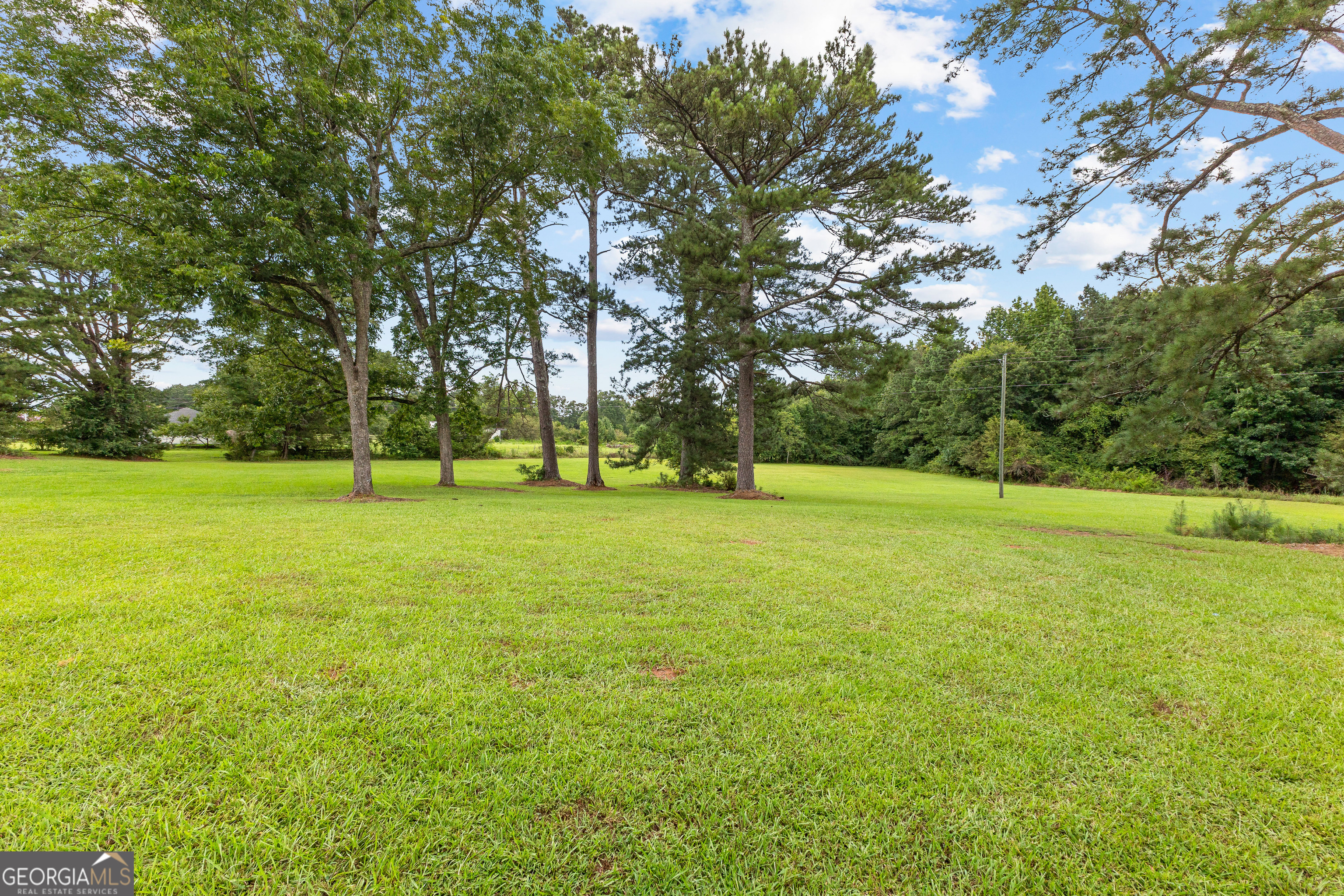 1367 Sharpsburg McCollum Road Sharpsburg, GA 30277 - Photo 70 of 80 a view of a field with a trees in the background