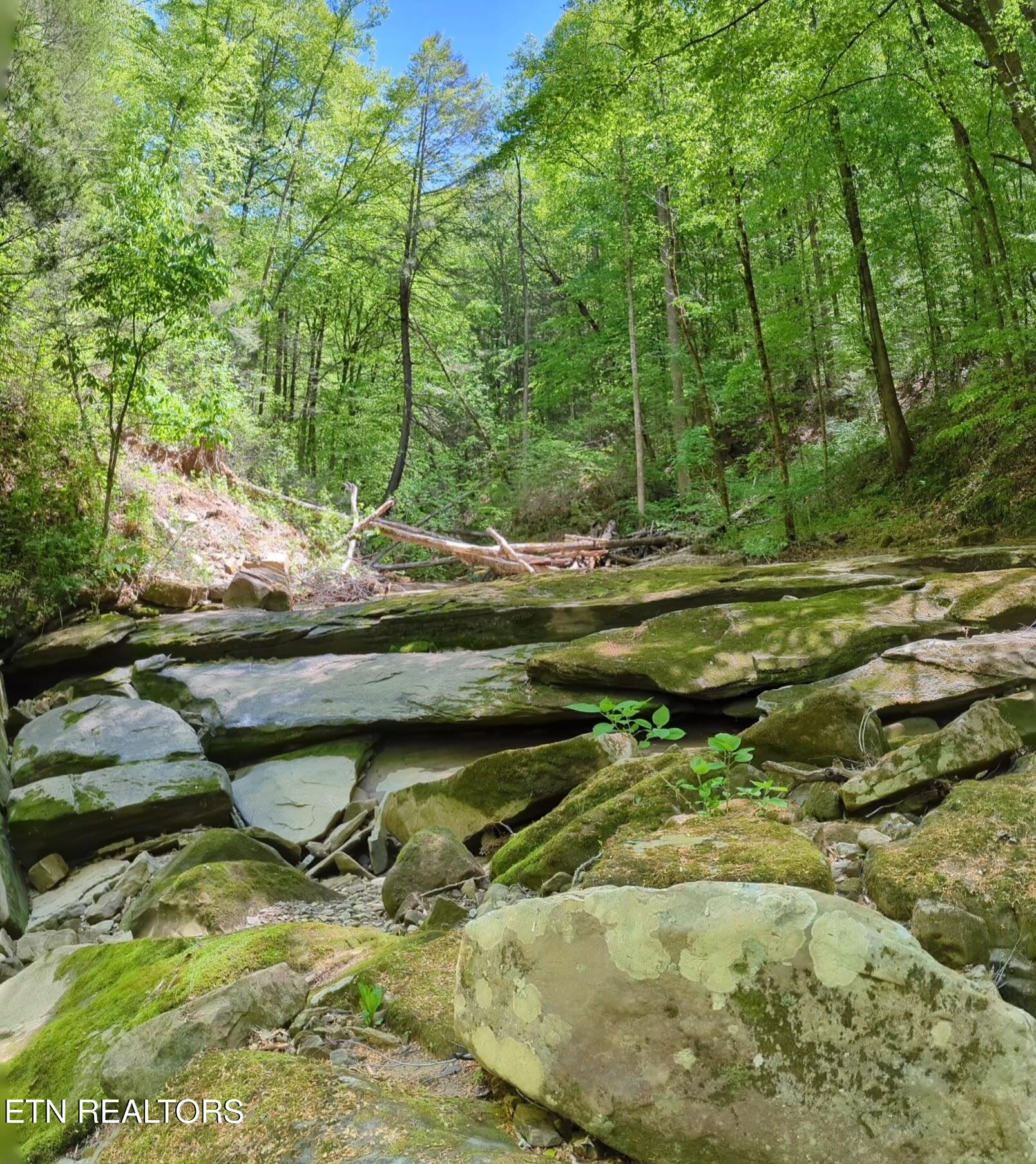 Cherokee Path Jamestown, TN 38556 - Photo 4 of 14 4