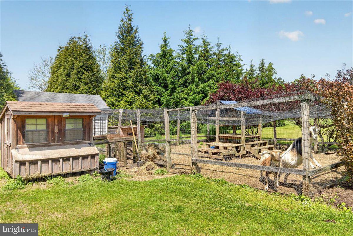219 Lambertville Hopewell Road Hopewell, NJ 08525 - Photo 6 of 73 Chicken Coup & Goats