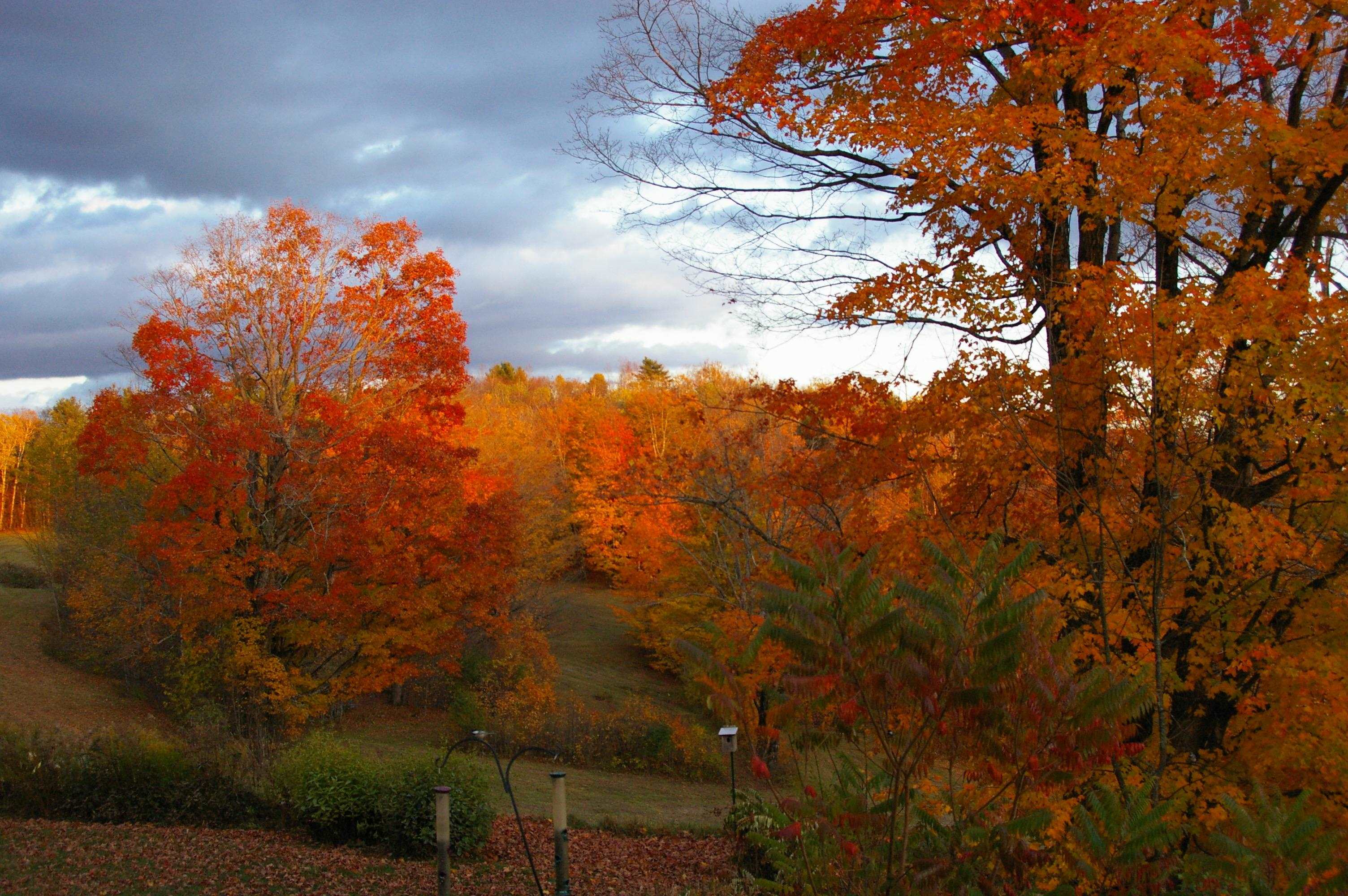 89 Jordan Road Strafford, VT 05072 - Photo 43 of 43