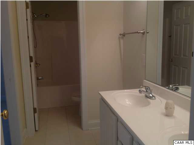 1350 Amber Ridge Road Charlottesville, VA 22901 - Photo 12 of 17 a bathroom with a sink and shower