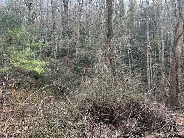 $26,500 | Lot 19 Oakdale Estates Drive, Old Fort, NC 28762
